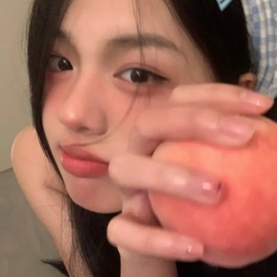 巅峰拍档第二十九季